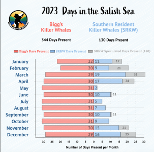 chart, bar chart