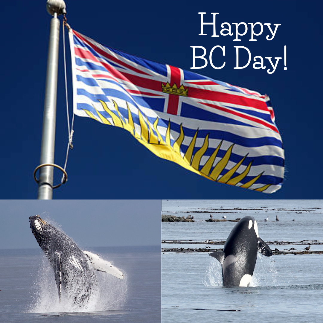 Happy BC Day! | Five Star Whale Watching