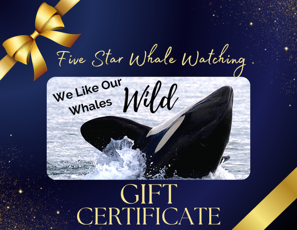 Gift Certificate